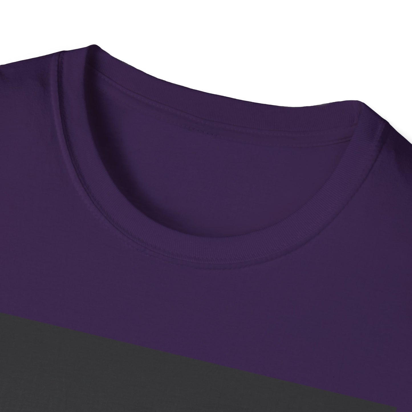 Demon Designs Unisex Softstyle T-Shirt